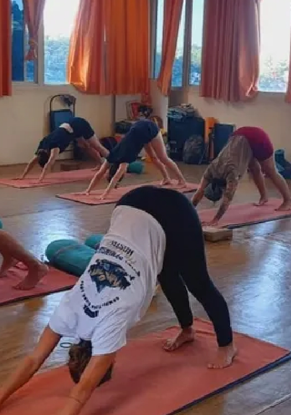 Daily Drop-in Yoga Classes