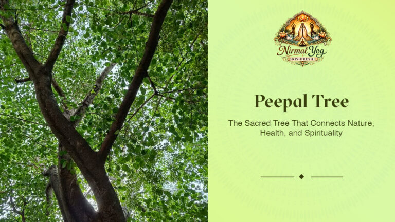 Peepal Tree: The Sacred Tree That Connects Nature, Health, and Spirituality